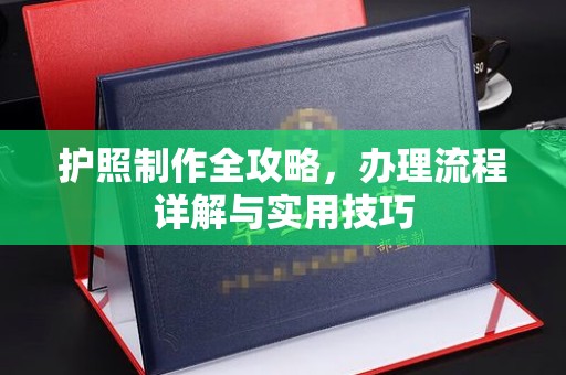 田阳护照制作全攻略，办理流程详解与实用技巧