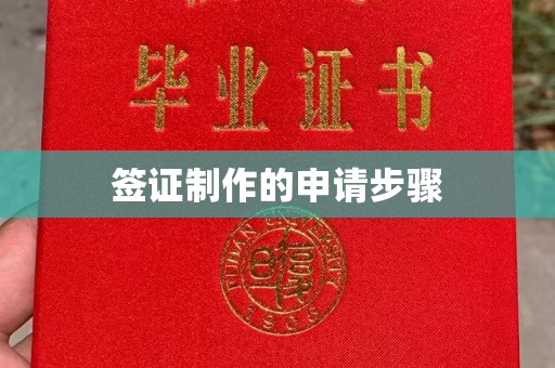 田阳签证制作的申请步骤