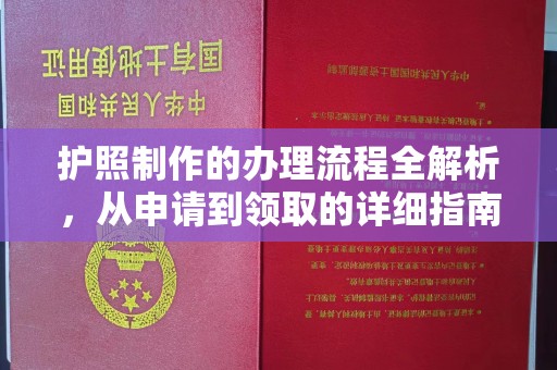 田阳护照制作的办理流程全解析，从申请到领取的详细指南