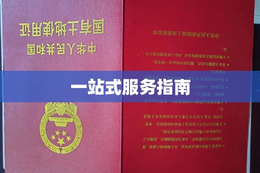 田阳一站式服务指南