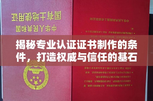 田阳揭秘专业认证证书制作的条件，打造权威与信任的基石