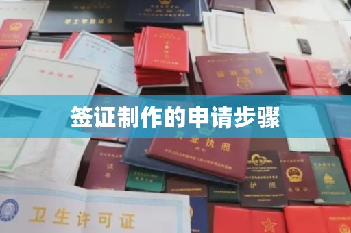 田阳签证制作的申请步骤