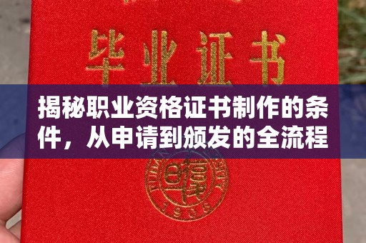 田阳揭秘职业资格证书制作的条件，从申请到颁发的全流程解析