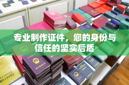 田阳专业制作证件，您的身份与信任的坚实后盾