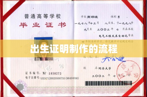 田阳出生证明制作的流程