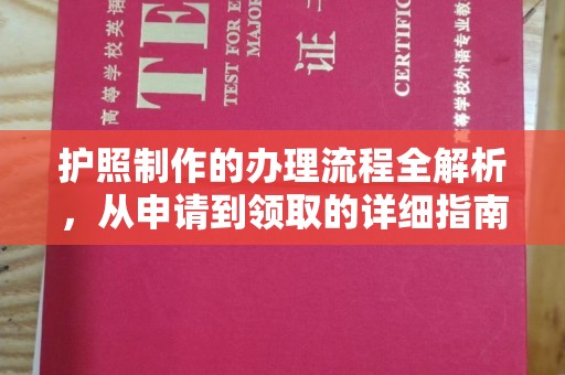 田阳护照制作的办理流程全解析，从申请到领取的详细指南
