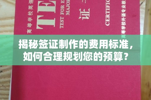 田阳揭秘签证制作的费用标准，如何合理规划您的预算？
