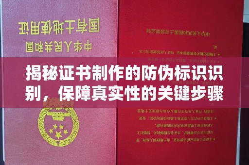 田阳揭秘证书制作的防伪标识识别，保障真实性的关键步骤