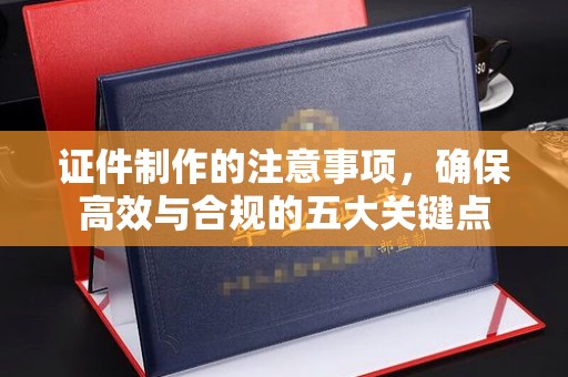 田阳证件制作的注意事项，确保高效与合规的五大关键点