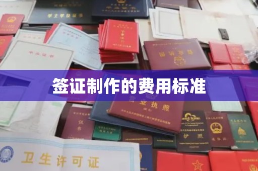 田阳签证制作的费用标准