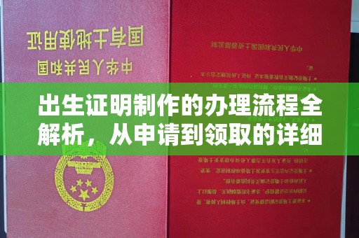 田阳出生证明制作的办理流程全解析，从申请到领取的详细指南