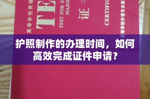 田阳护照制作的办理时间，如何高效完成证件申请？