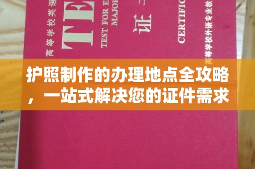 田阳护照制作的办理地点全攻略，一站式解决您的证件需求
