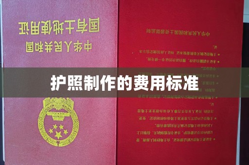 田阳护照制作的费用标准