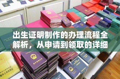 田阳出生证明制作的办理流程全解析，从申请到领取的详细指南